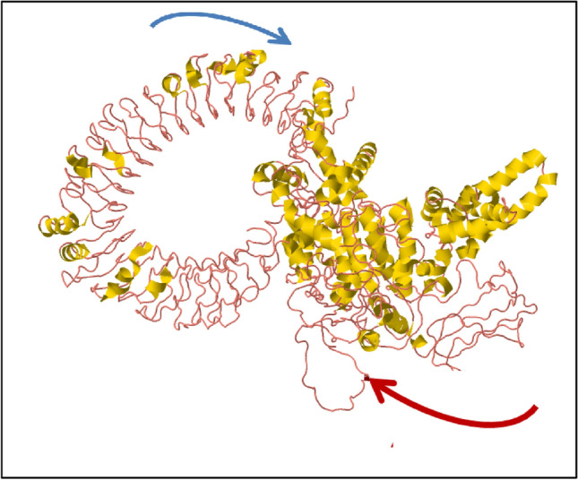 Fig. 10