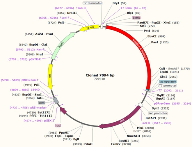 Fig. 12