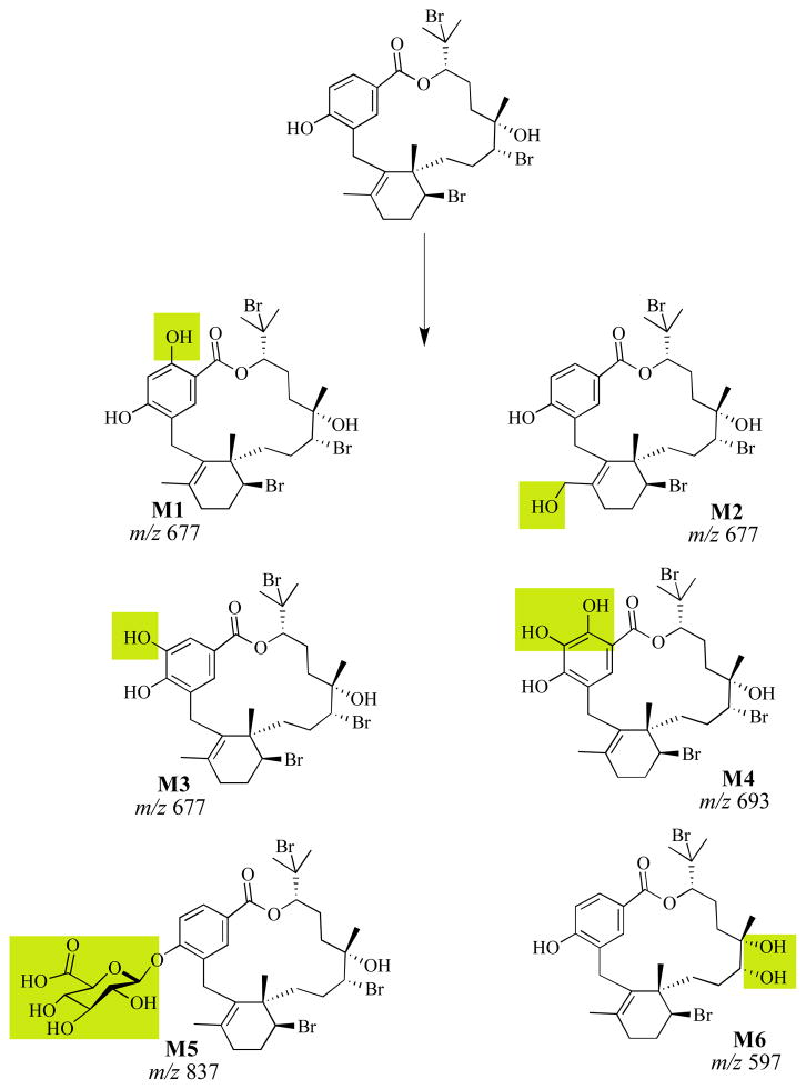 Scheme 1