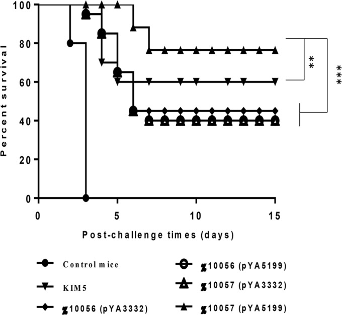 FIG 4