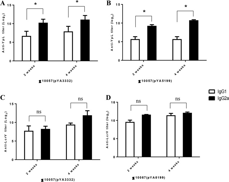 FIG 6