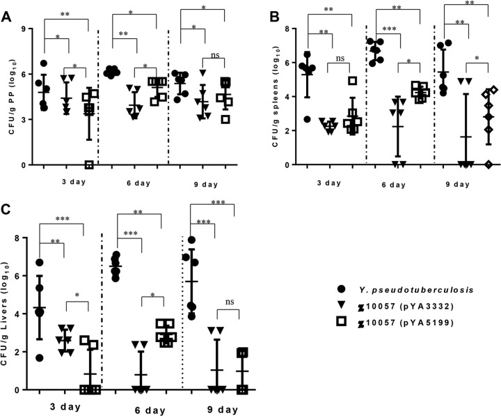 FIG 3