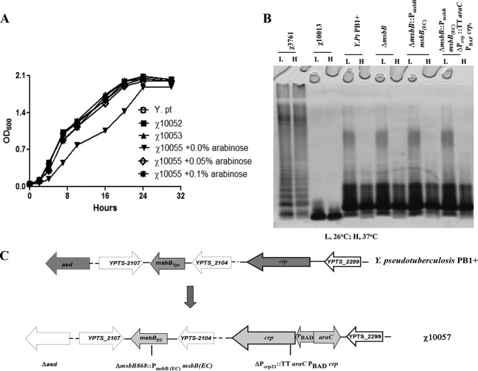 FIG 1