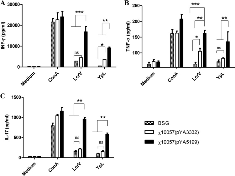 FIG 7