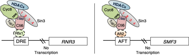 Fig. 10