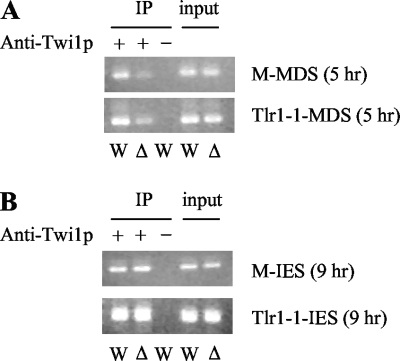 FIG. 5.