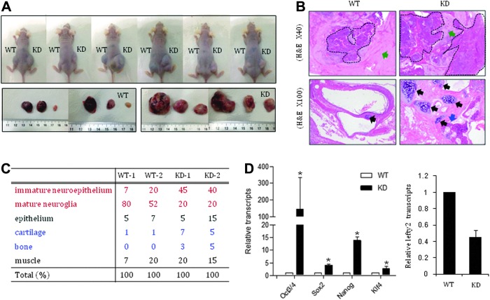 FIG. 6.