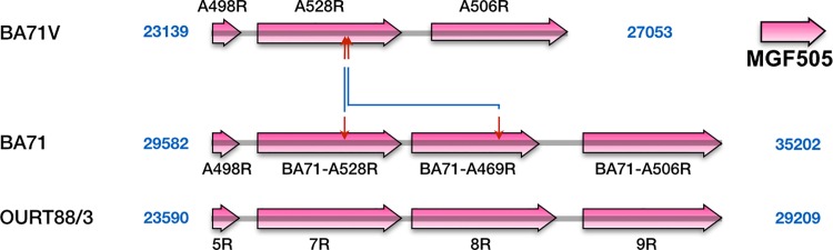 Fig 5