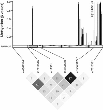 Fig. 1