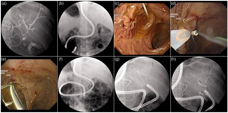 Figure 1.