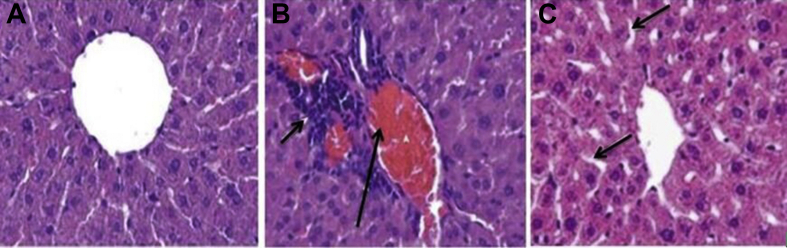 Fig. 7