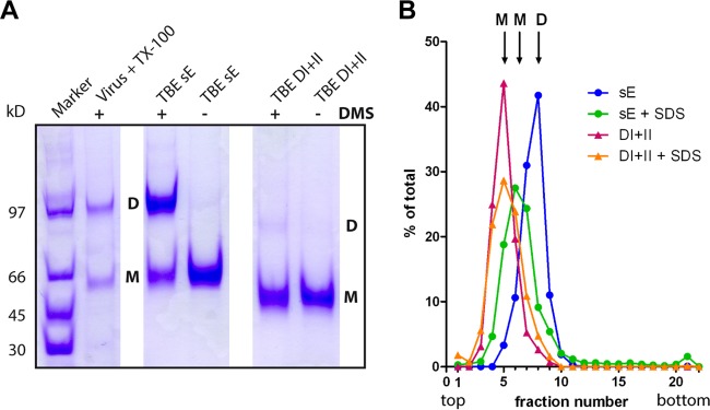 FIG 3