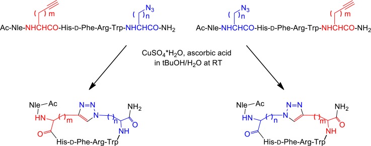 Scheme 3