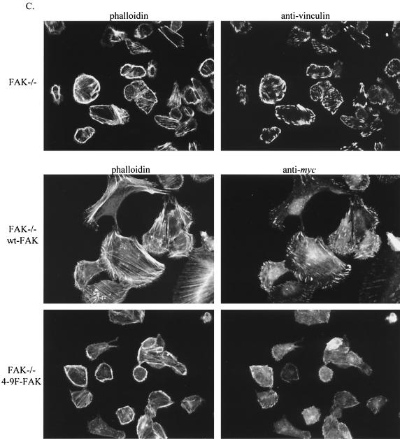 FIG. 9.