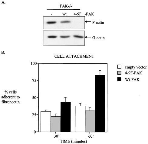 FIG. 9.