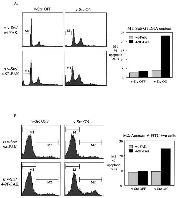 FIG. 11.