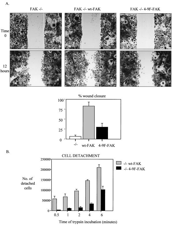 FIG. 8.