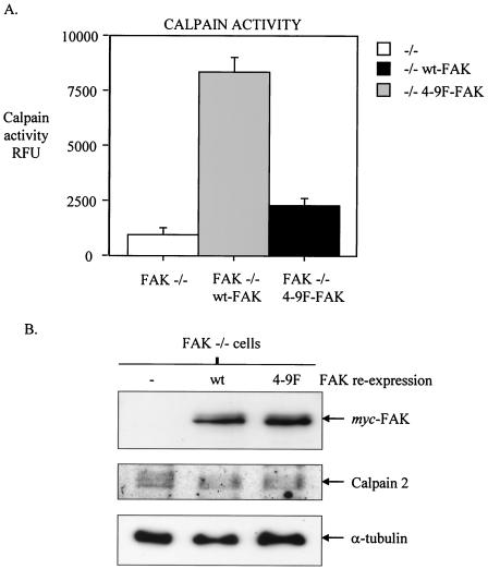 FIG. 7.