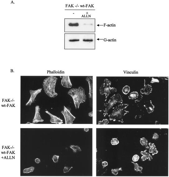 FIG. 10.