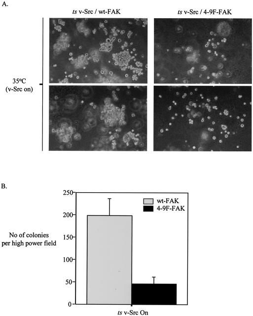 FIG. 12.