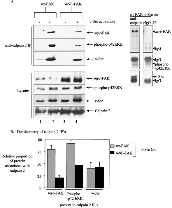 FIG. 5.