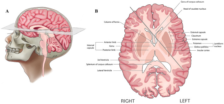 FIG. 5.