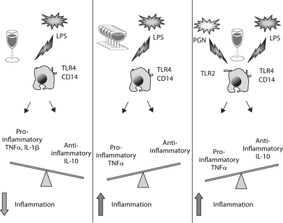 Fig. 6.