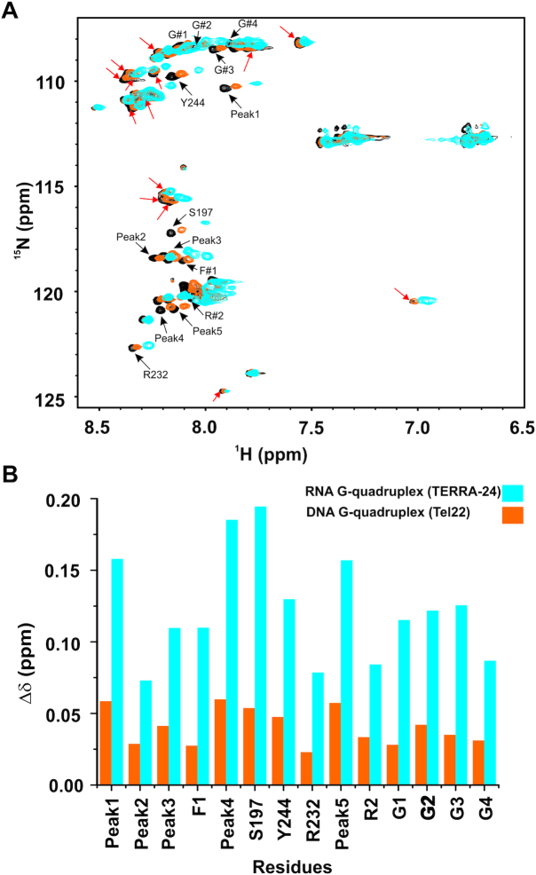 Figure 10.