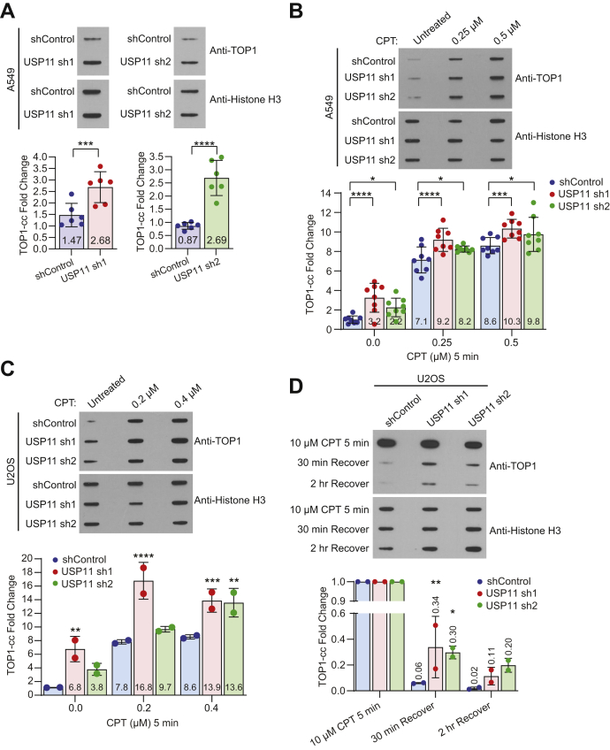 Figure 6