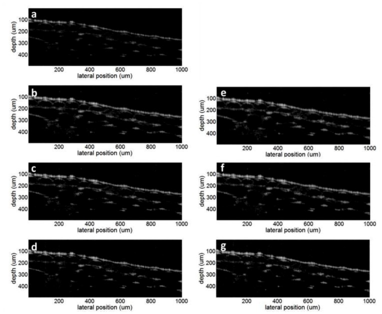 Fig. 7