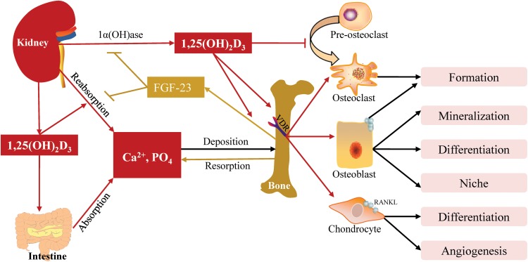 Fig. 1