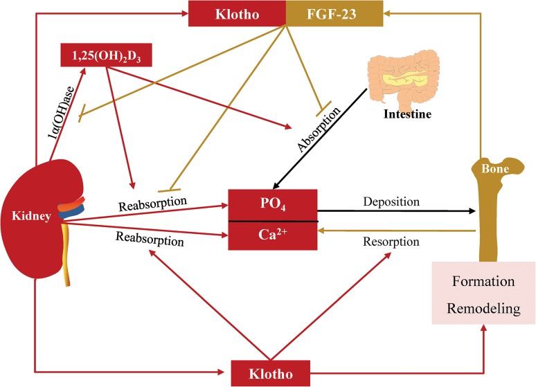 Fig. 2