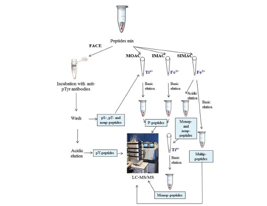 Fig. (3)