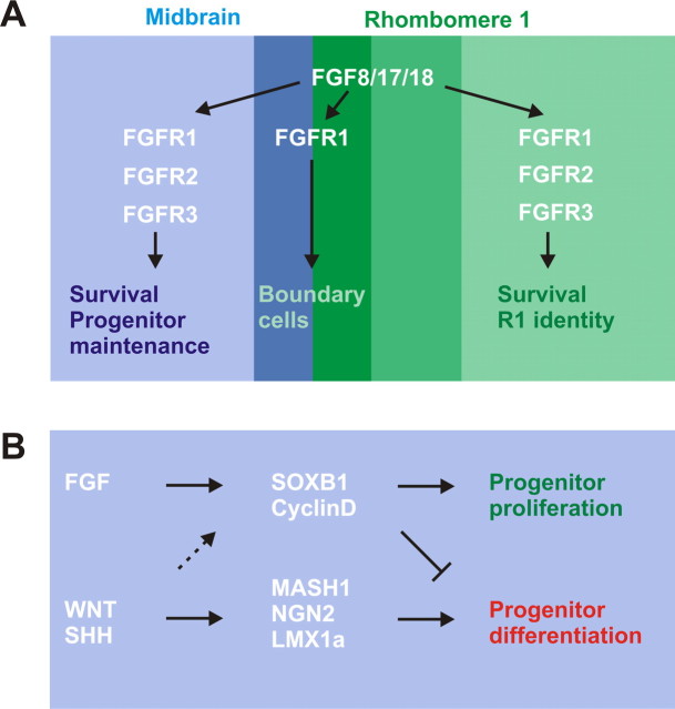 Figure 10.