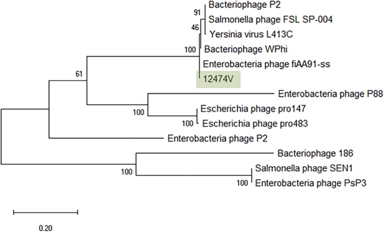 FIGURE 5