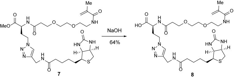 Scheme 4.