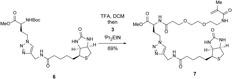 Scheme 3.