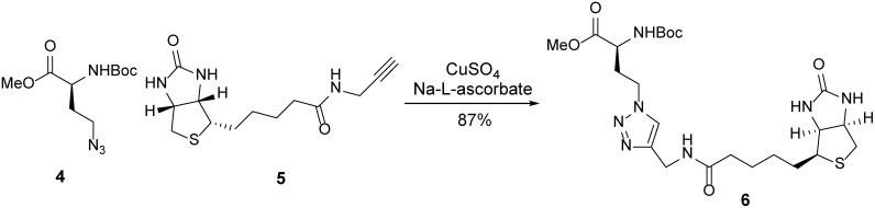 Scheme 2.