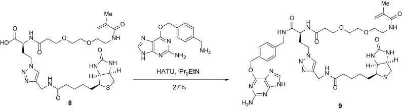 Scheme 5.