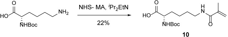 Scheme 6.