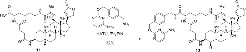 Scheme 9.