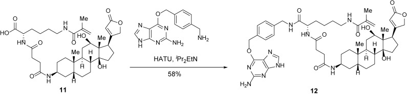 Scheme 8.