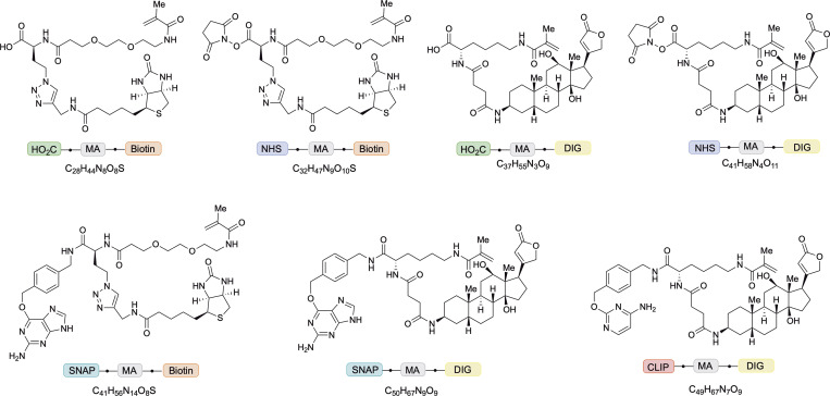 Figure 2.