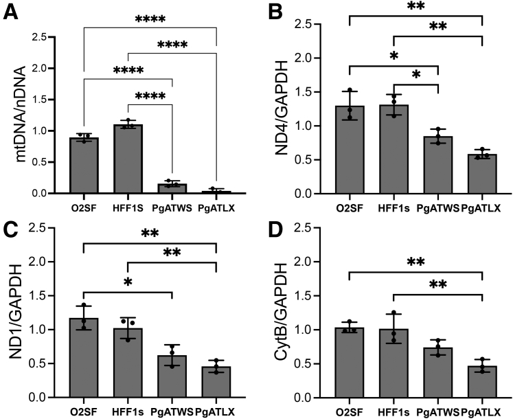 Figure 3