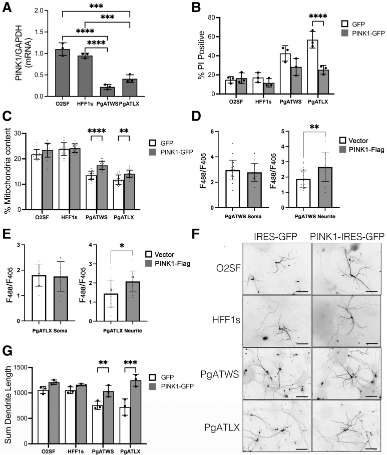 Figure 6