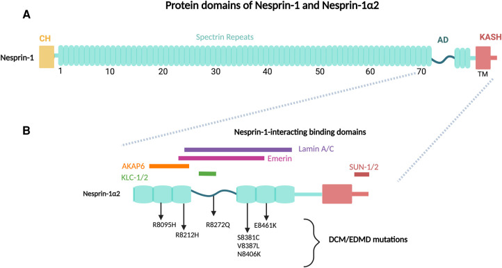 Figure 1.