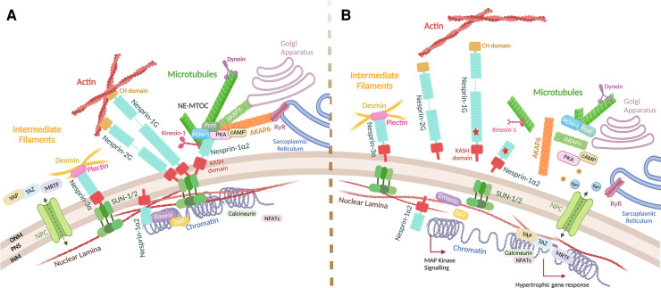 Figure 2.