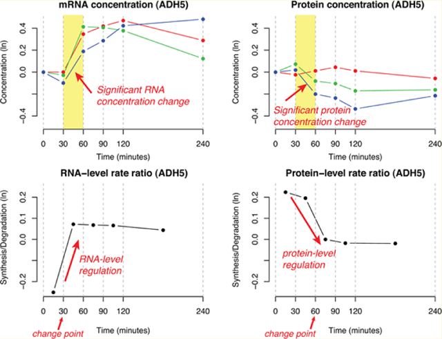 graphic file with name nihms-1903492-f0004.jpg