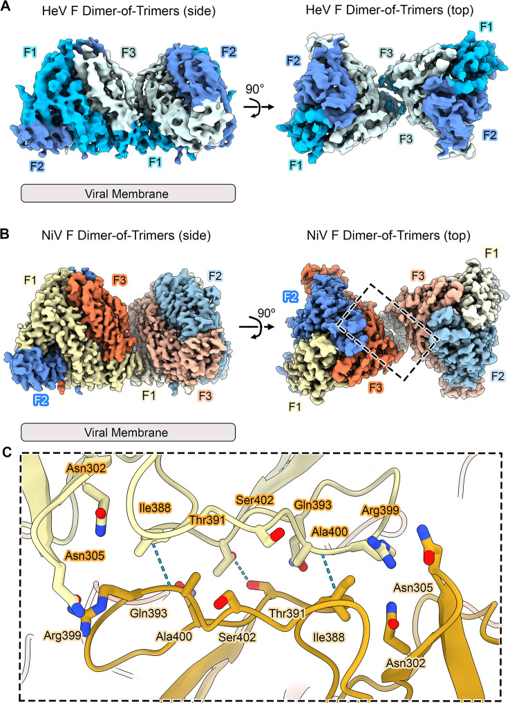 Fig 6