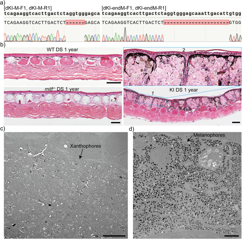 Fig. 7